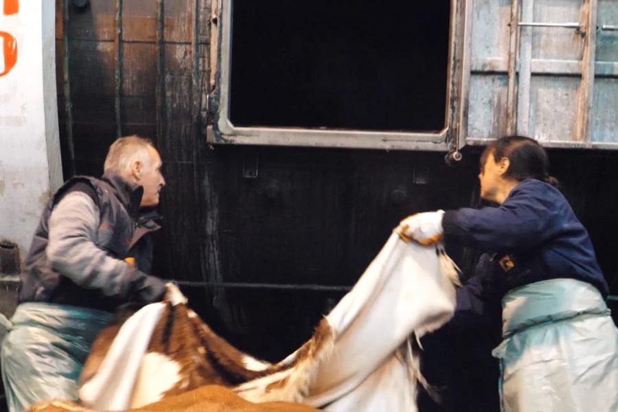 Viga Lorena 112233.00_02_36_11.Still017